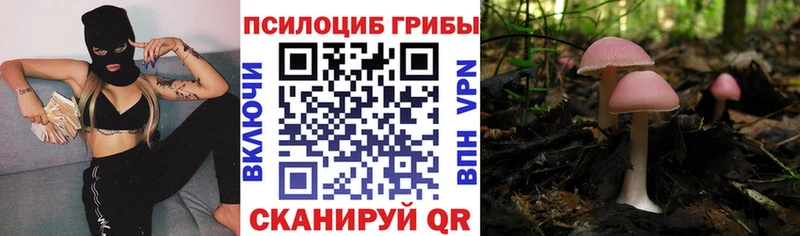 Галлюциногенные грибы GOLDEN TEACHER  darknet как зайти  mega ССЫЛКА  Тутаев  сколько стоит 