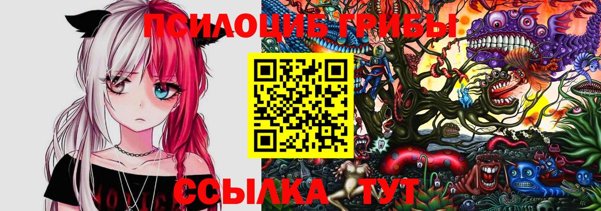 Тутаев  Псилоцибиновые грибы мухоморы  Вход с VPN 