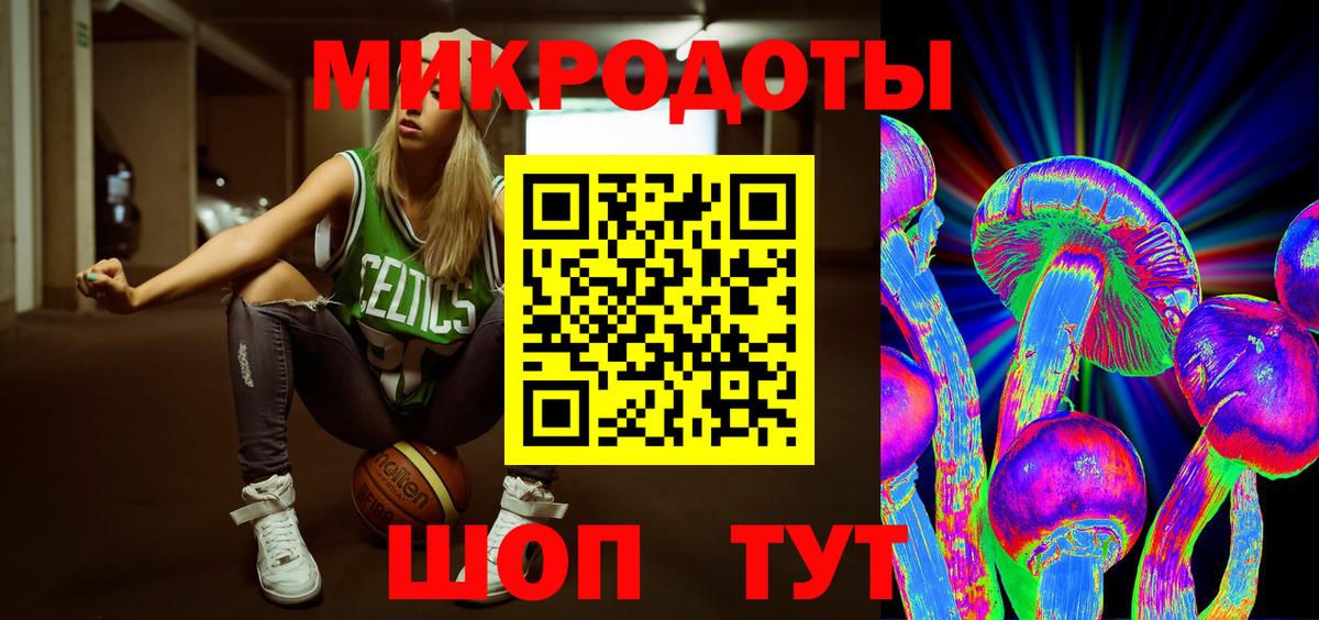 Галлюциногенные грибы Psilocybe Тутаев